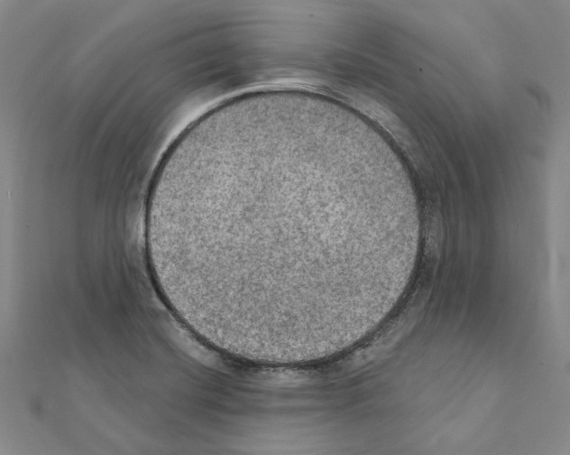 X0000111441420200908241134