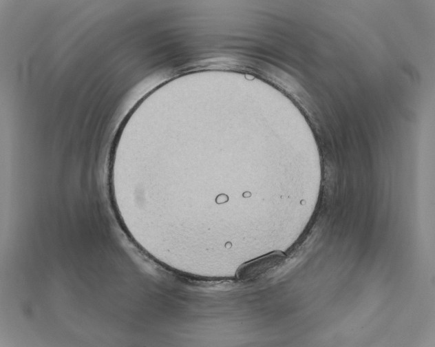 X0000111441426200908241134