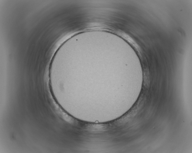 X0000111441431200908241134