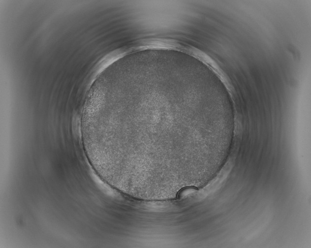 X0000111441433200908241134