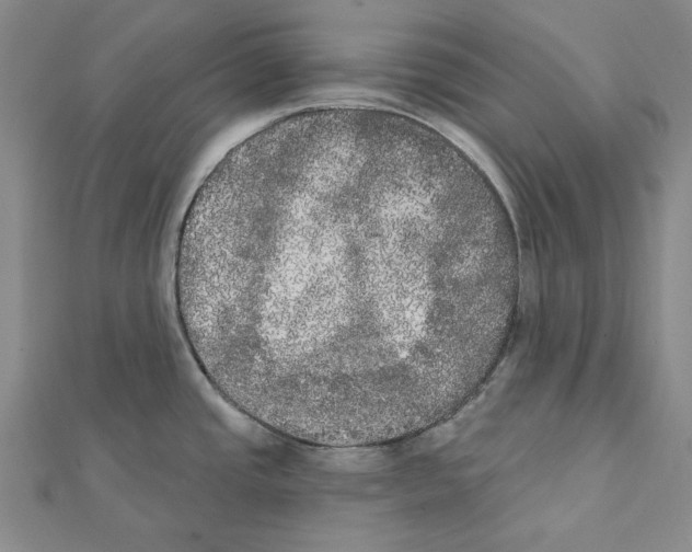 X0000111441437200908241134