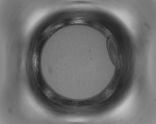 X0000111441438200908241134