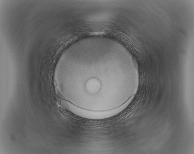 X0000111441441200908241133