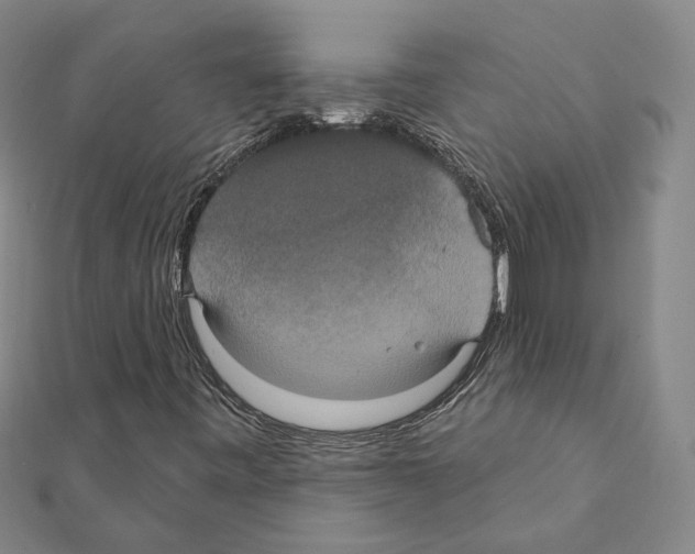 X0000111441443200908241133