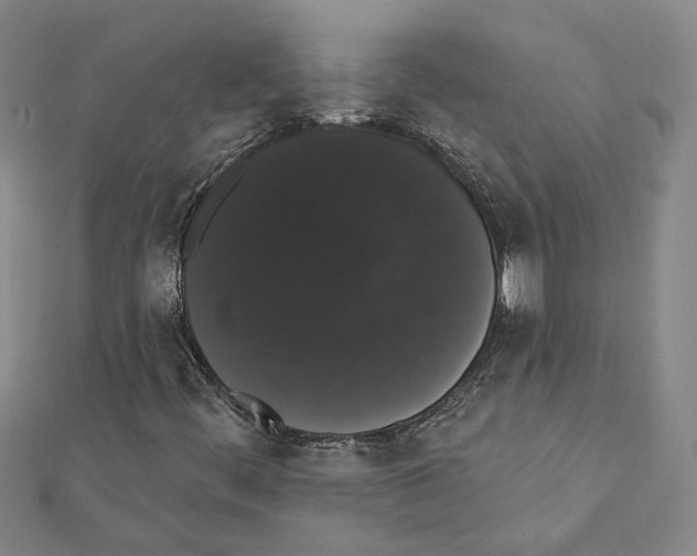 X0000111441444200908241133