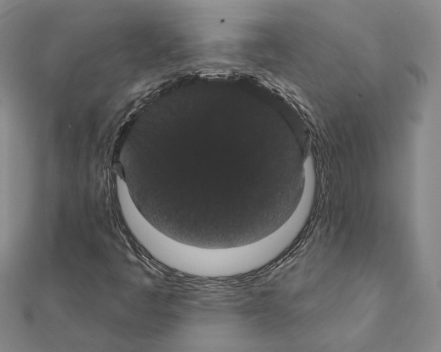 X0000111441445200908241133