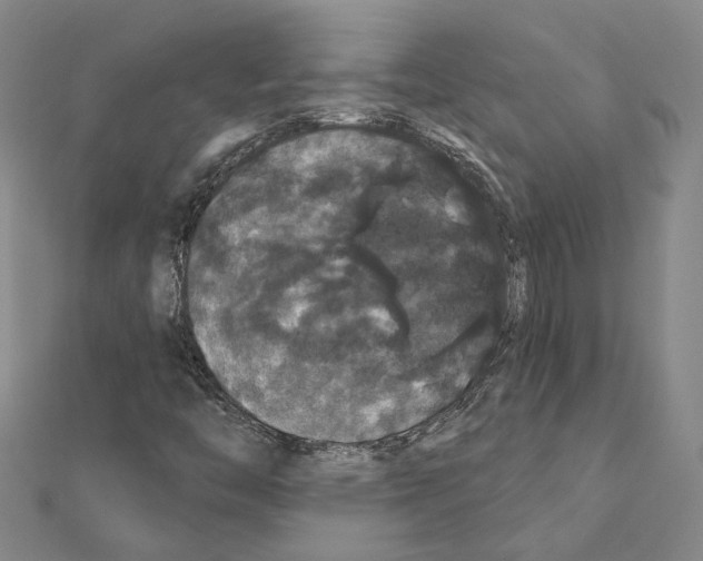 X0000111441446200908241133