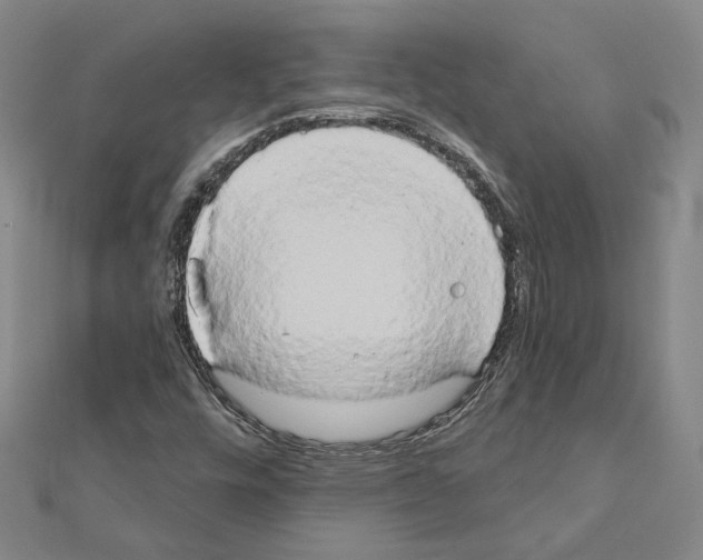 X0000111441448200908241133