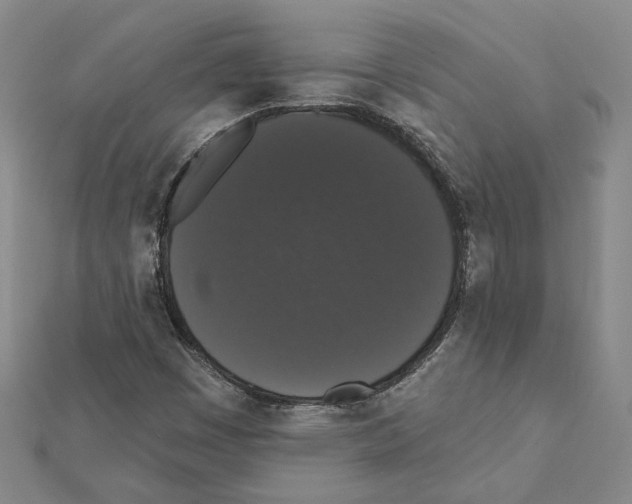 X0000111441449200908241133