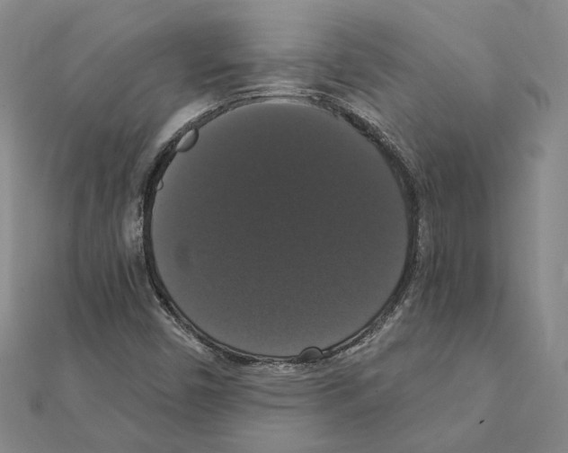 X0000111441450200908241133