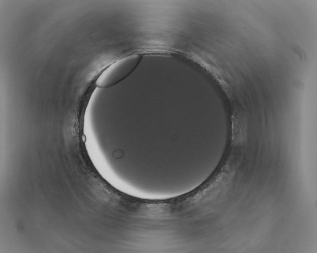 X0000111441453200908241133