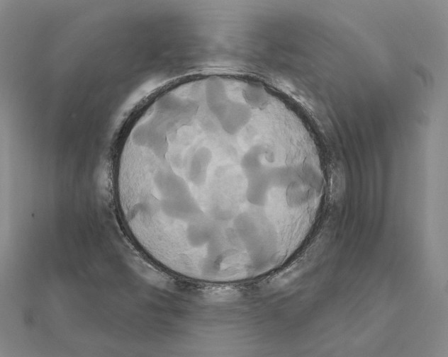 X0000111441454200908241133