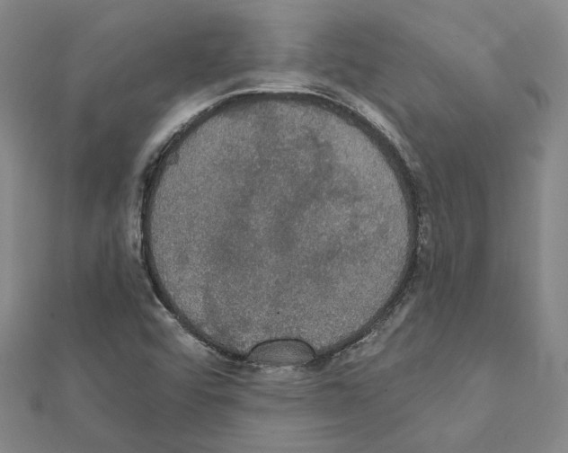 X0000111441456200908241133