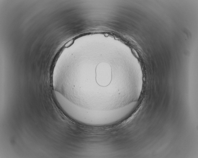 X0000111441457200908241133