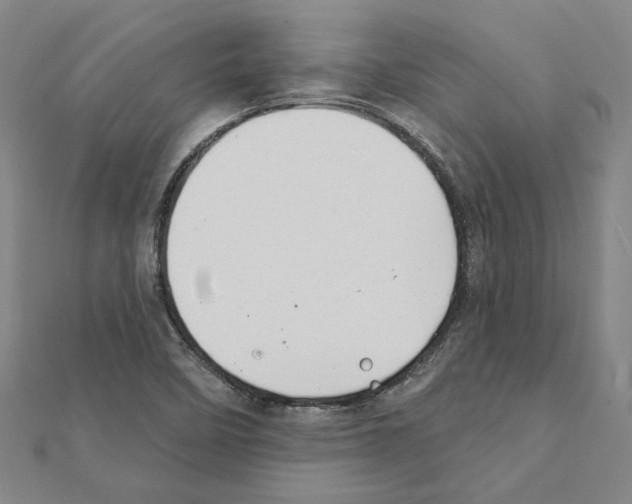 X0000111441458200908241133