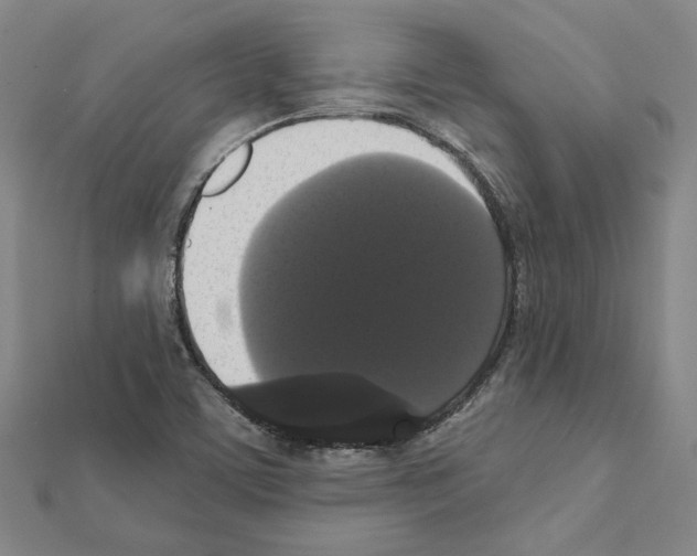 X0000111441459200908241133