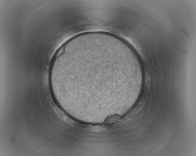 X0000111441460200908241133