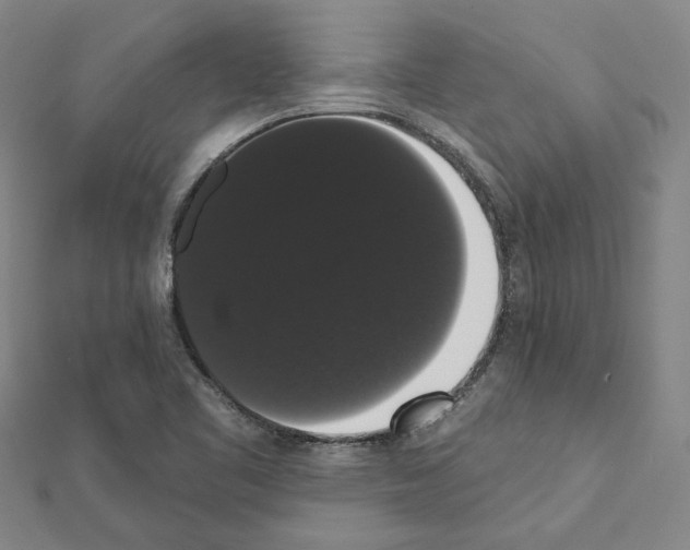 X0000111441461200908241133