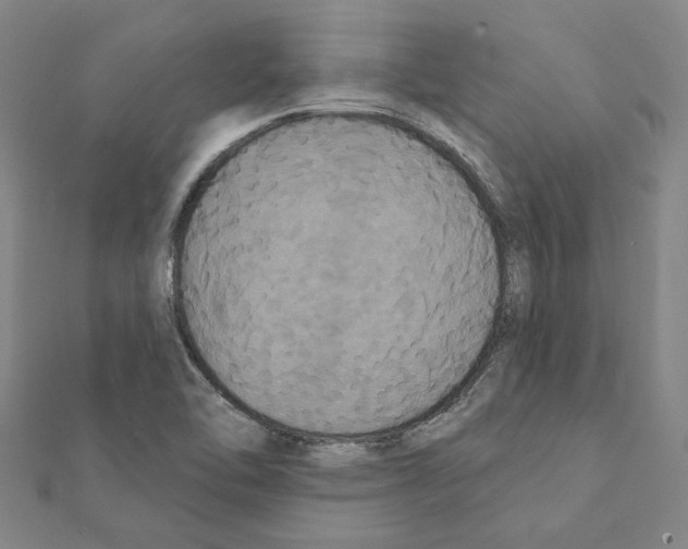 X0000111441462200908241133