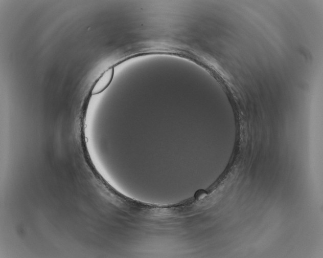 X0000111441463200908241133