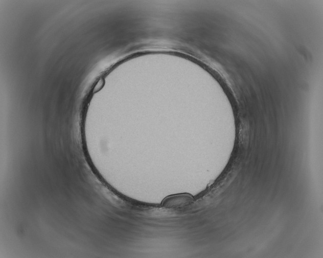 X0000111441464200908241133