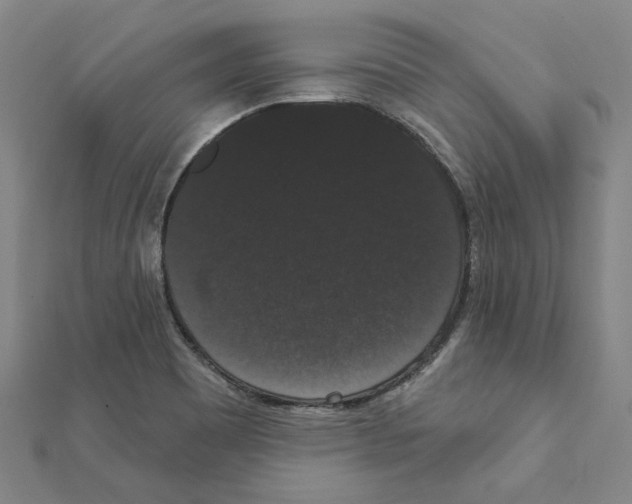 X0000111441465200908241133