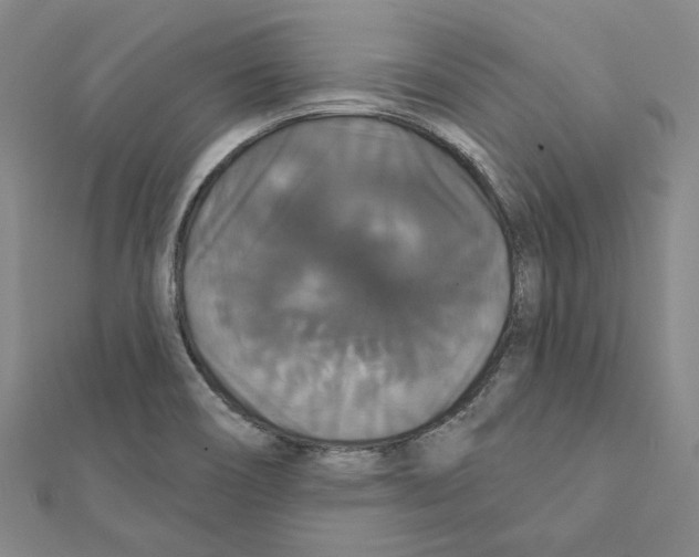 X0000111441466200908241133