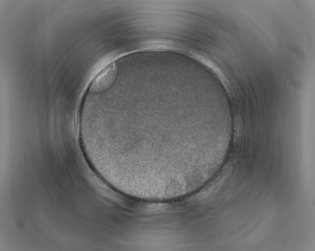 X0000111441467200908241133