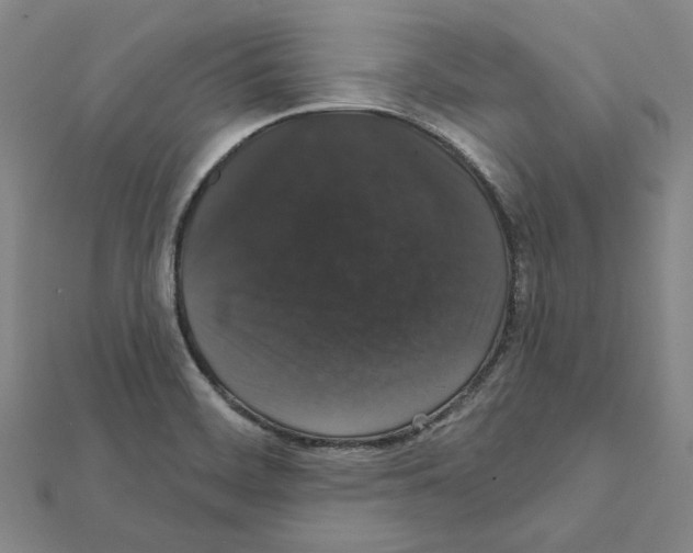 X0000111441468200908241133