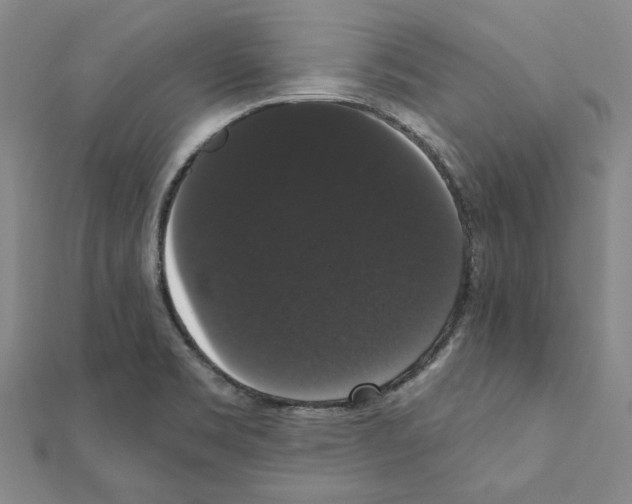 X0000111441469200908241133