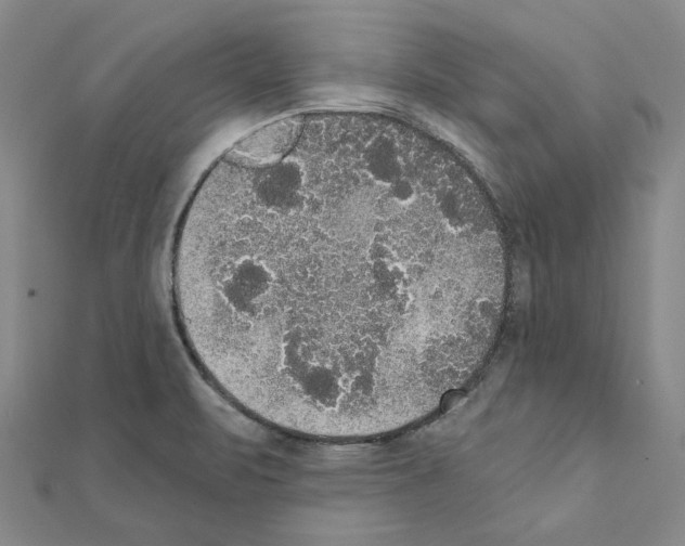 X0000111441471200908241133