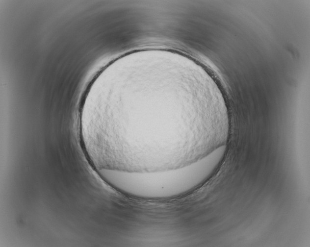 X0000111441472200908241133