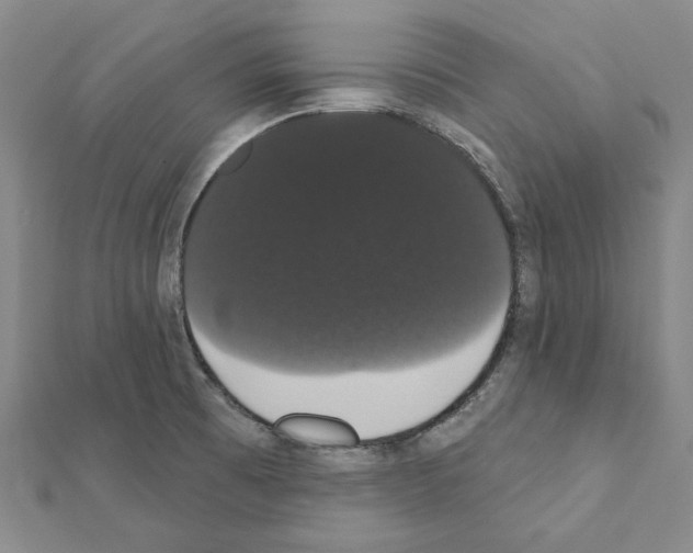 X0000111441473200908241133