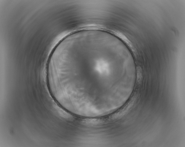 X0000111441474200908241133