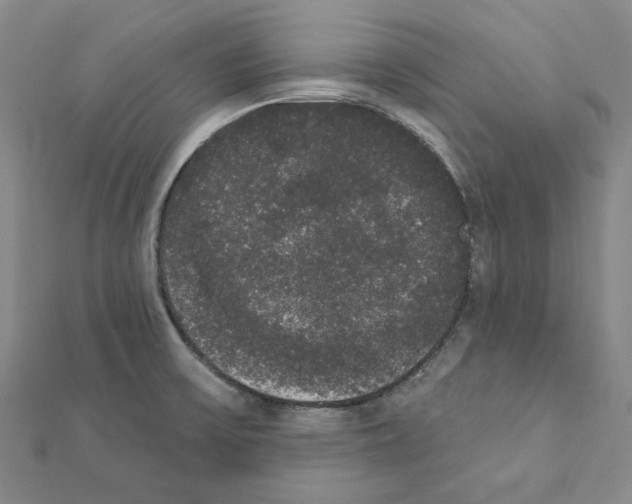 X0000111441475200908241133