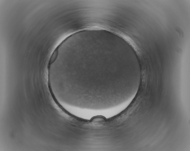 X0000111441476200908241133