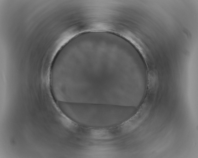 X0000111441477200908241133