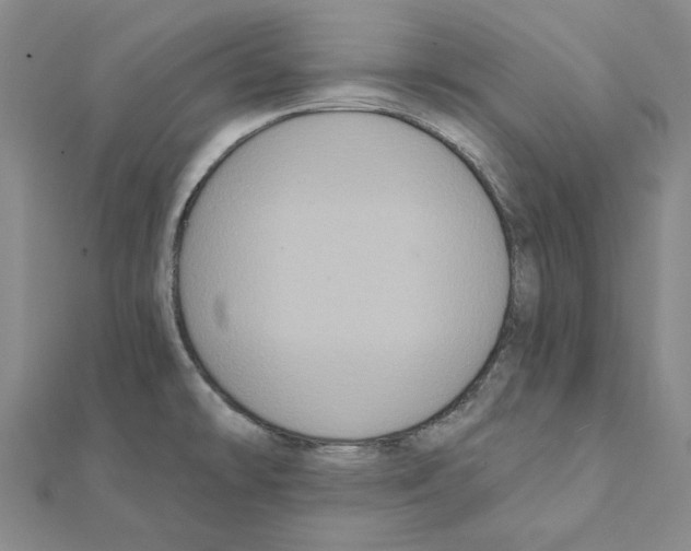 X0000111441478200908241133