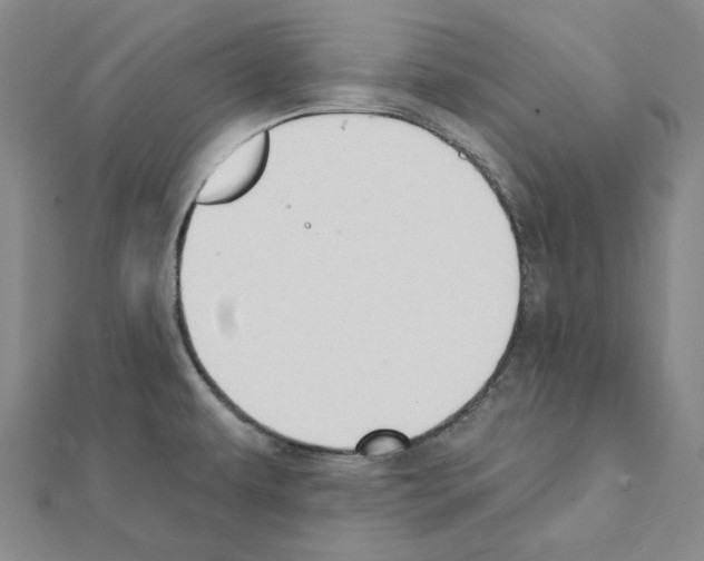 X0000111441479200908241133