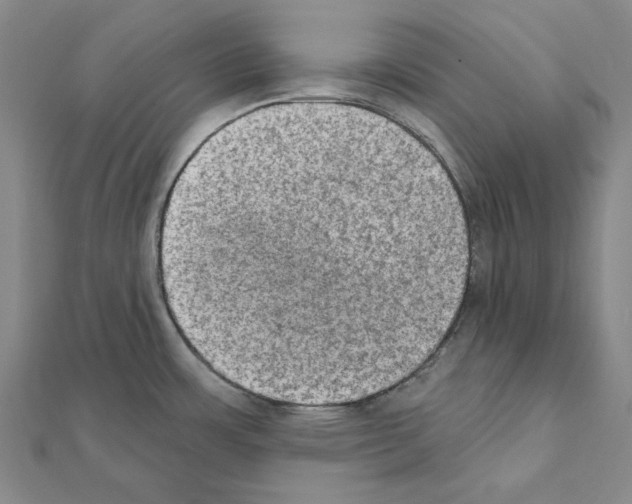 X0000111441483200908241132