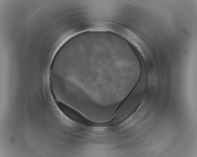 X0000111441484200908241132