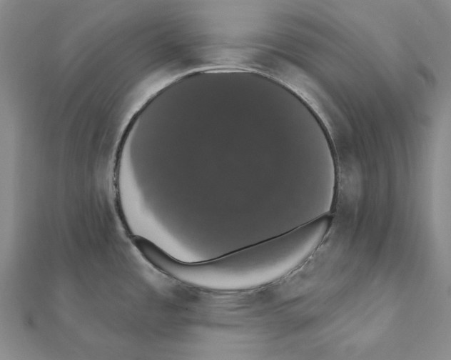 X0000111441485200908241132