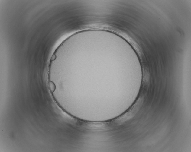 X0000111441486200908241132