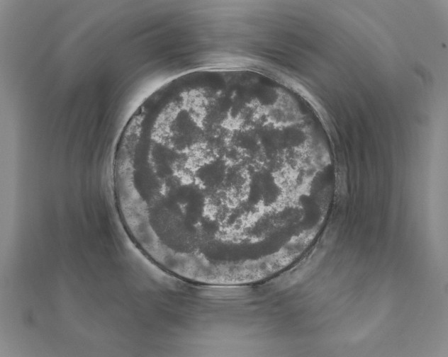 X0000111441487200908241132