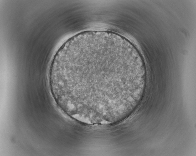 X0000111441488200908241132