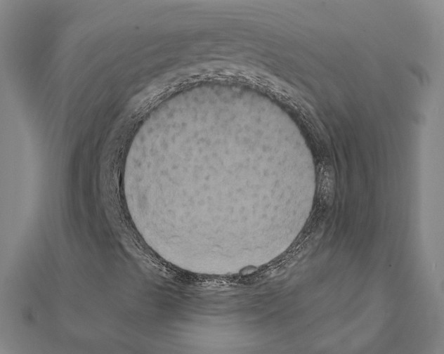 X0000111441489200908241132