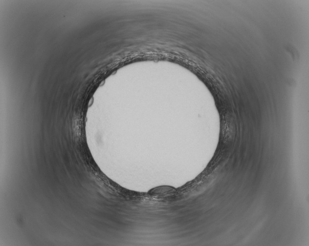 X0000111441490200908241132