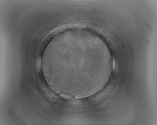 X0000111441492200908241132