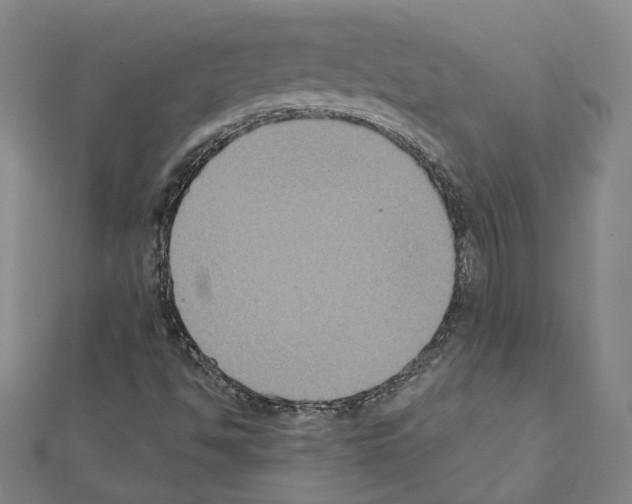 X0000111441494200908241132