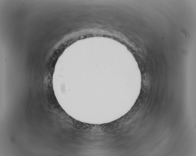 X0000111441495200908241132